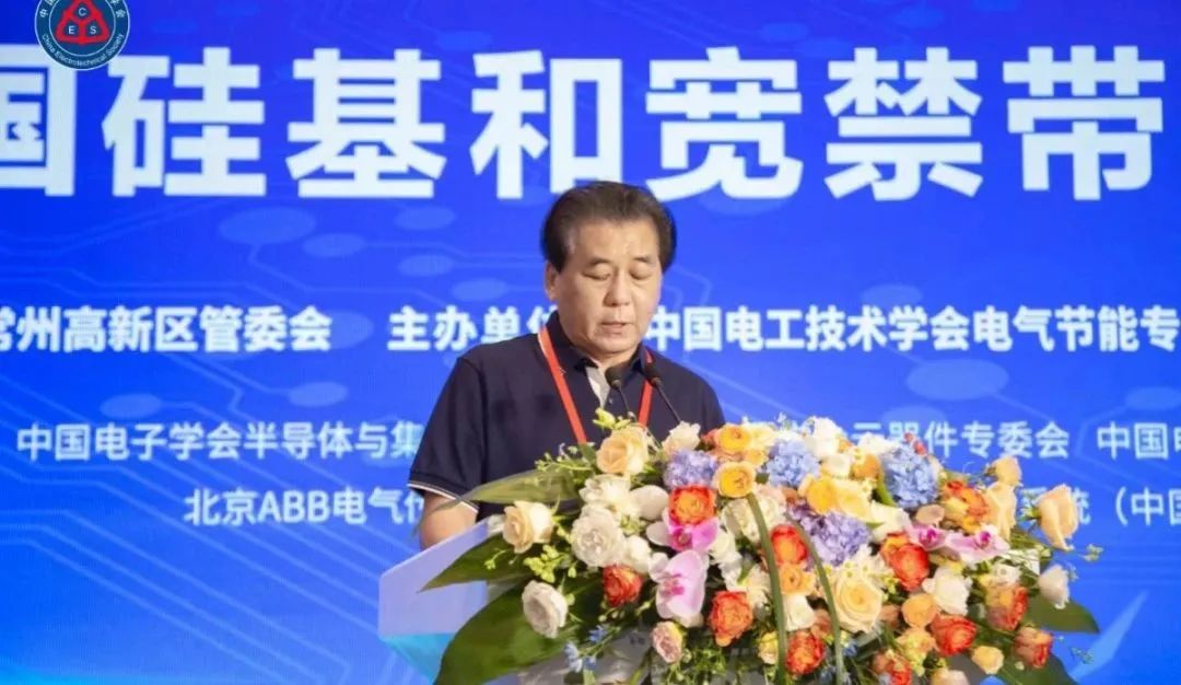 中国电工技术学会电气节能专业委员会 秘书长 孙长富主持论坛