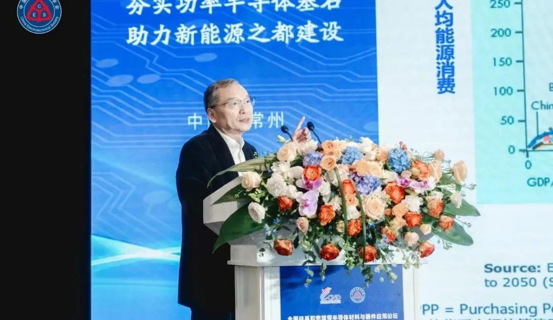 浙江大学求是特聘教授、中国电源学会名誉理事长 徐德鸿