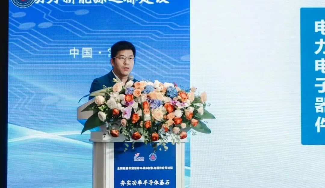 西安交通大学 电力设备电气绝缘国家重点实验室教授 王来利博士